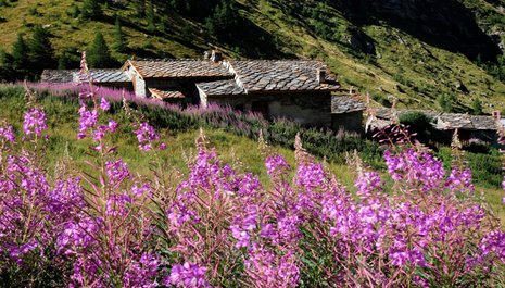 Trek Haute Maurienne Vanoise