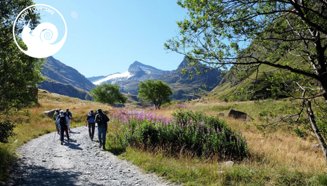 Séjour Randonnée Vanoise en douceur à Bessans - Offre slow tourisme