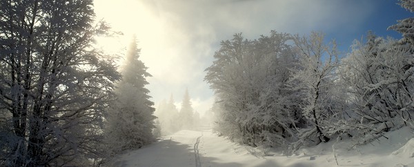paysage hiver domaine nordique lans en vercors
