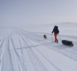 Ski de randonnée nordique