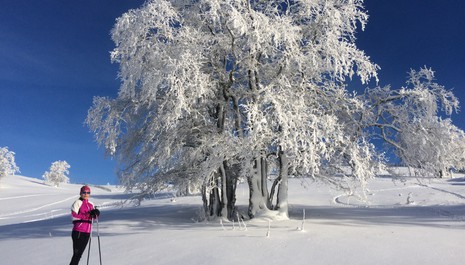 Séjours hiver - Familles, Groupes et Individuels dans le Jura