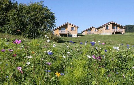 Les Chalets de Trémontagne