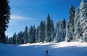 Randonnée hiver Jura