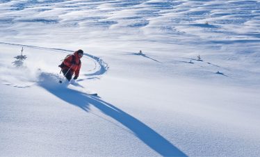 Descente dans la poudreuse en ski de randonnée