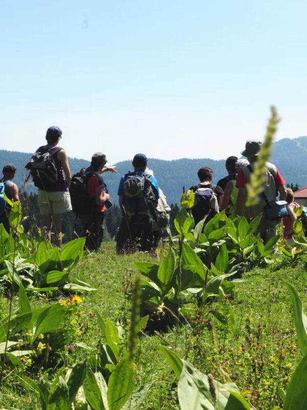 Randonnée dans le Jura