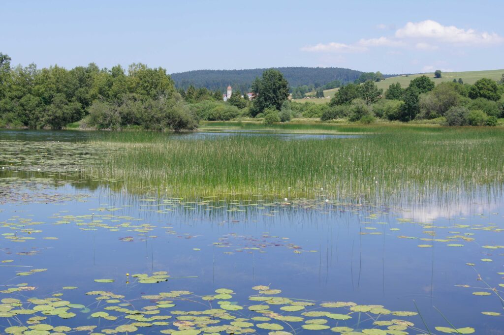 Lac près des Maisons de Mont d'Or Lacs