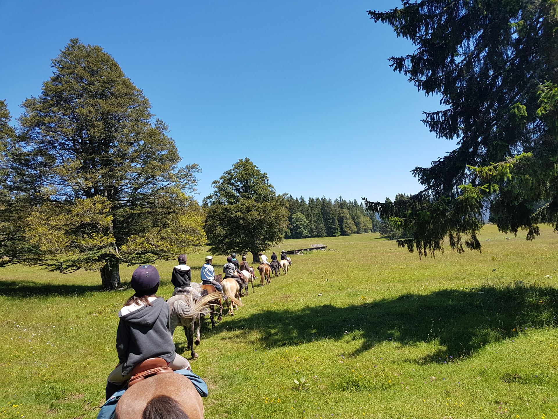 Sortie à cheval en classe découverte