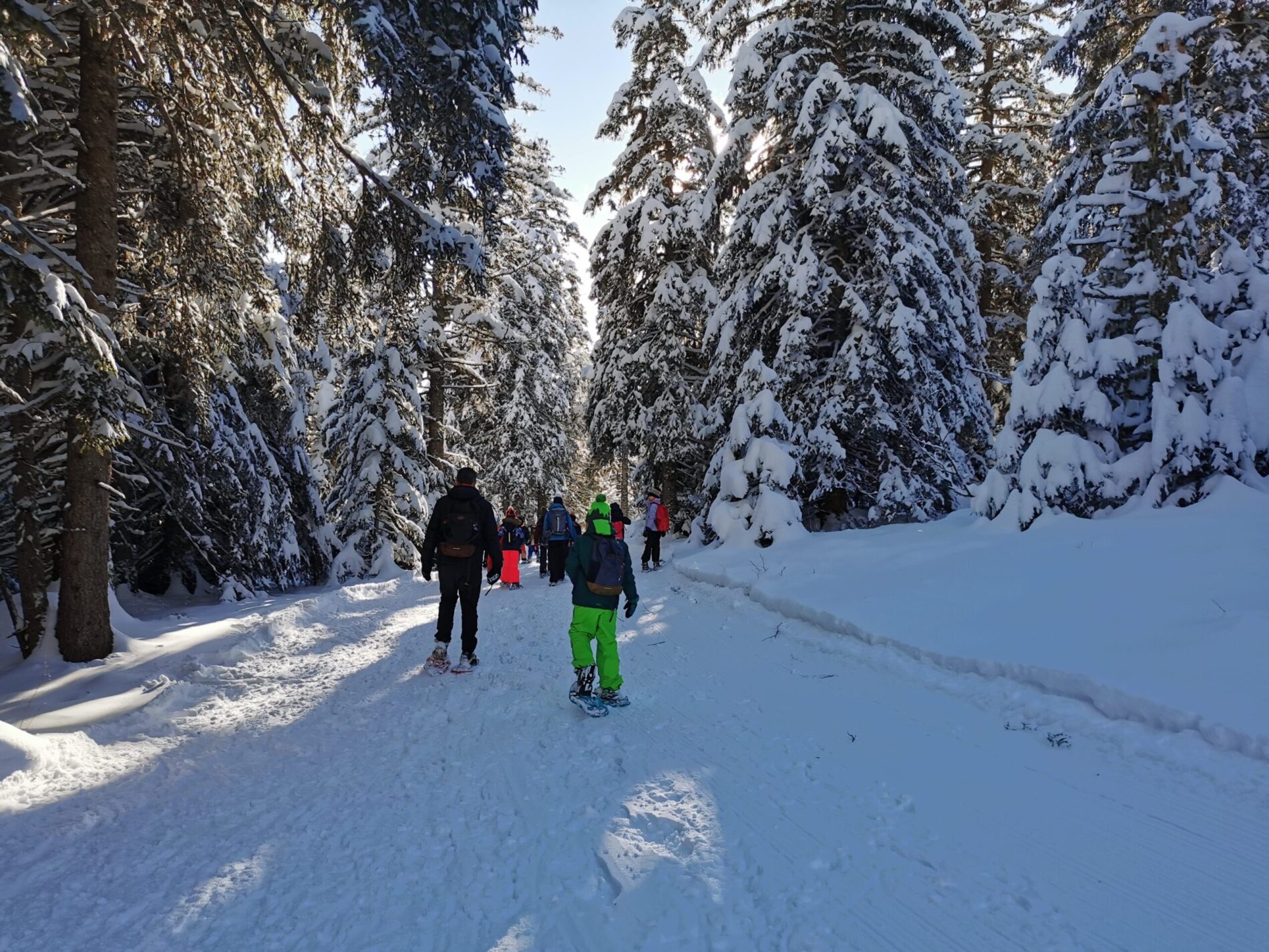 Sortie raquettes en classe de neige