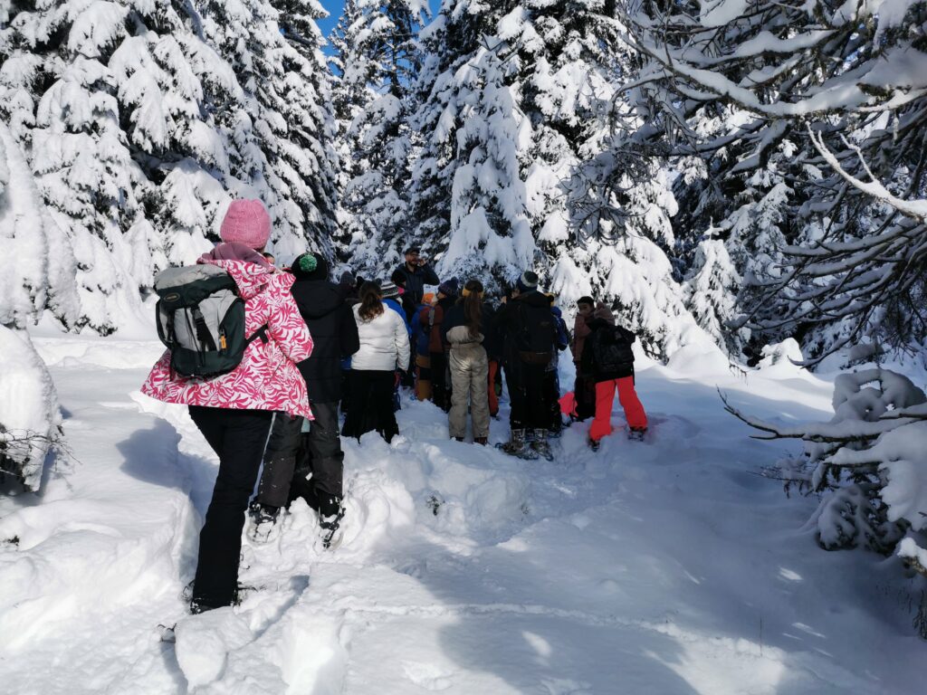 Sortie scolaire en raquettes
