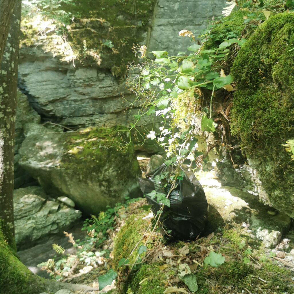 Sac poubelle dans la nature