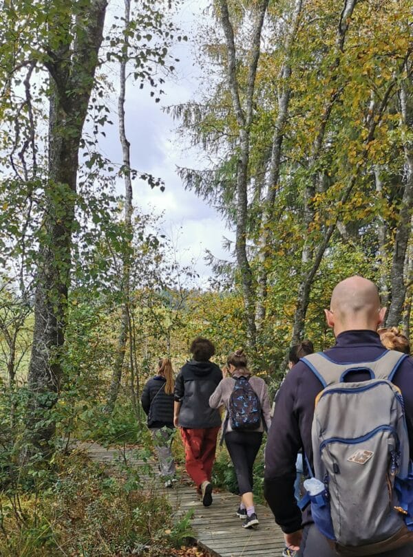 Balade dans le Jura