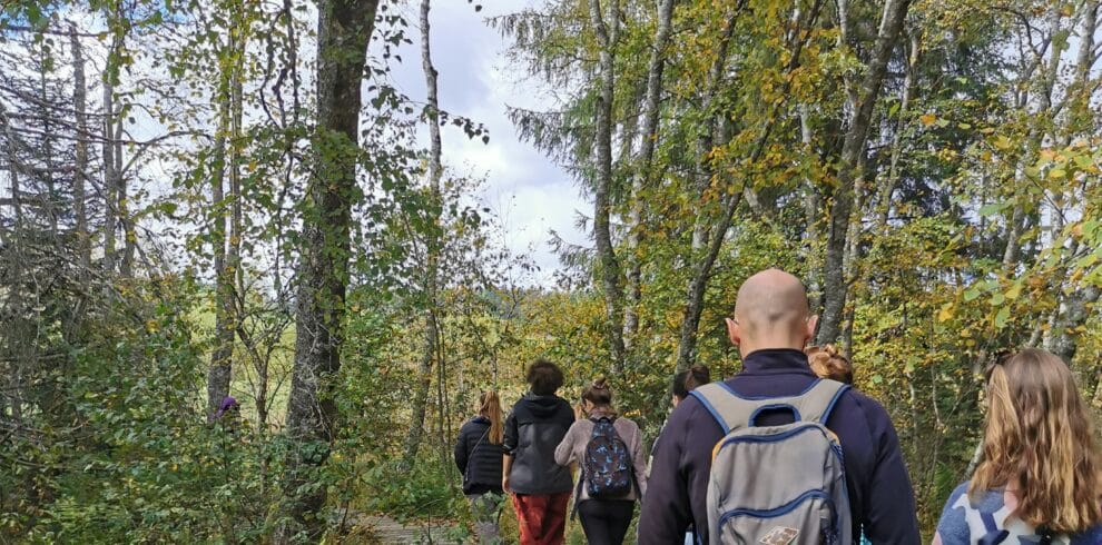 Balade dans le Jura