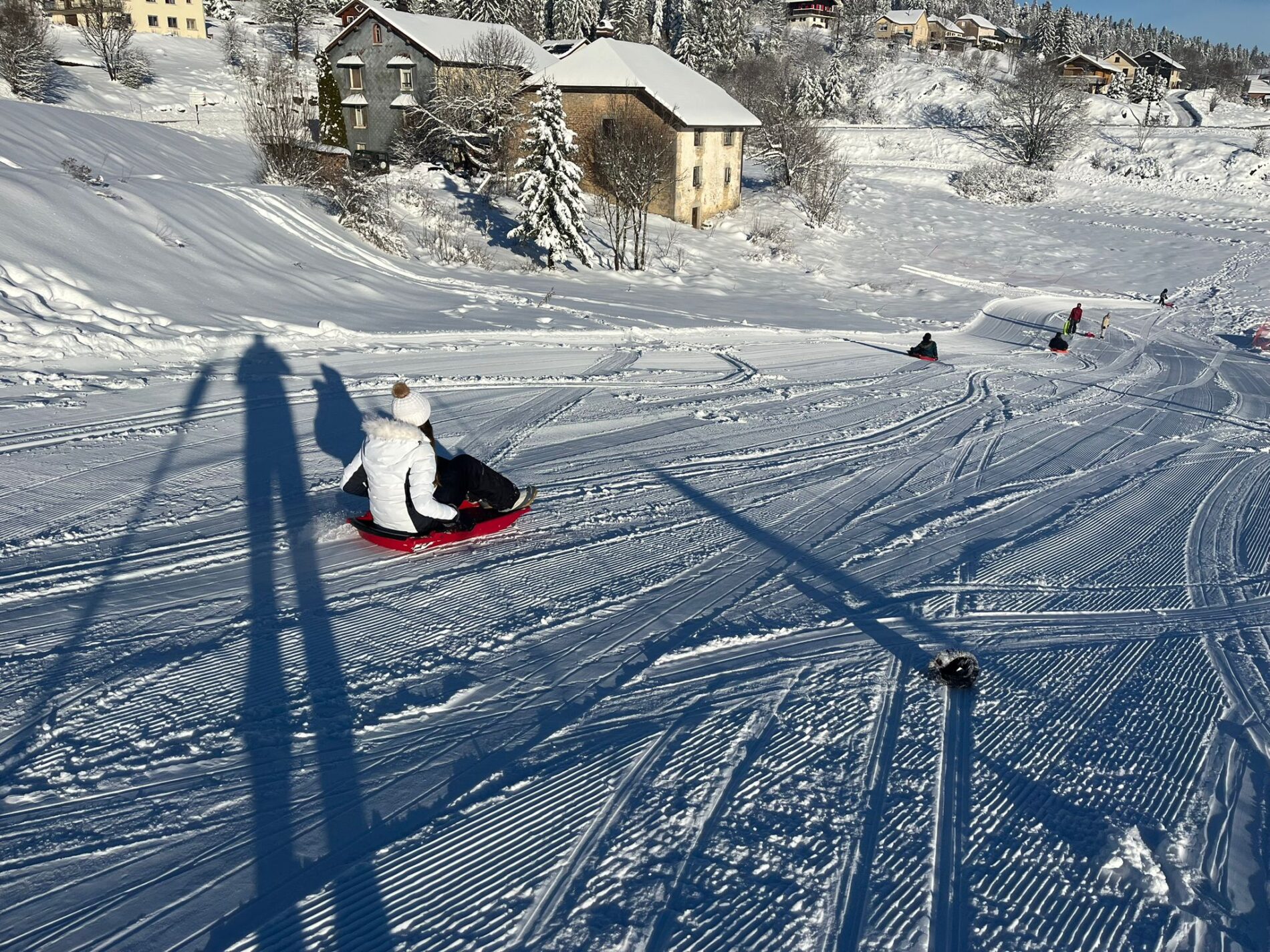 Descente en luge - Jura